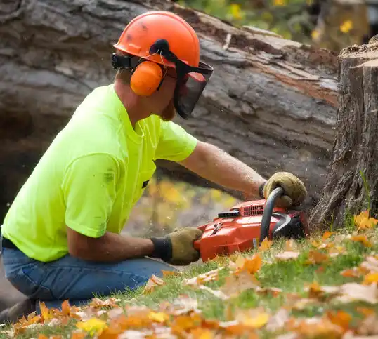 tree services Sherwood